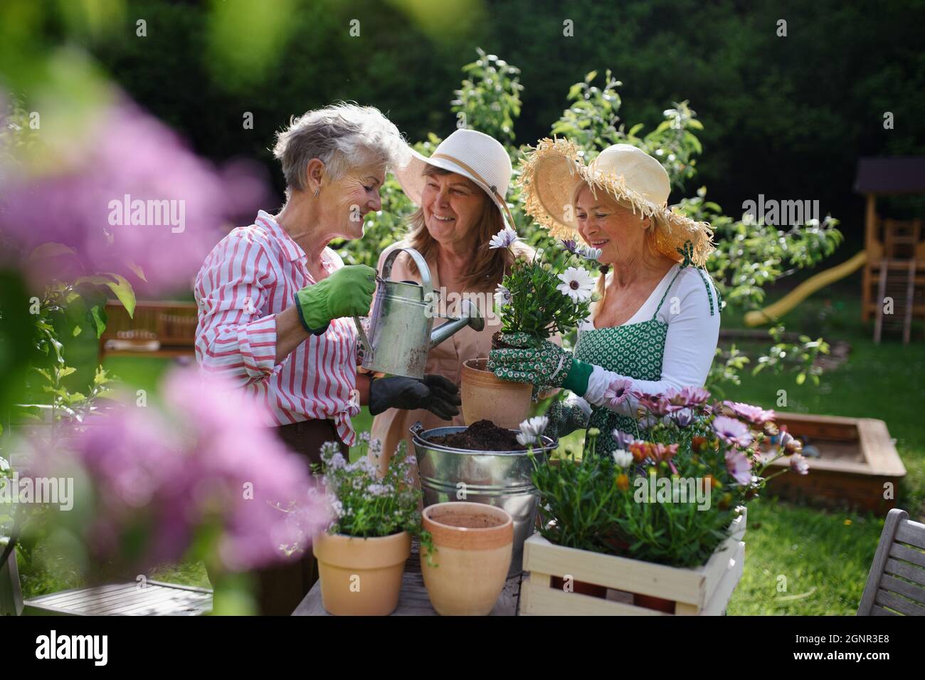 Senior donna amici piantando fiori insieme all'aperto in giardino comunità. Foto Stock