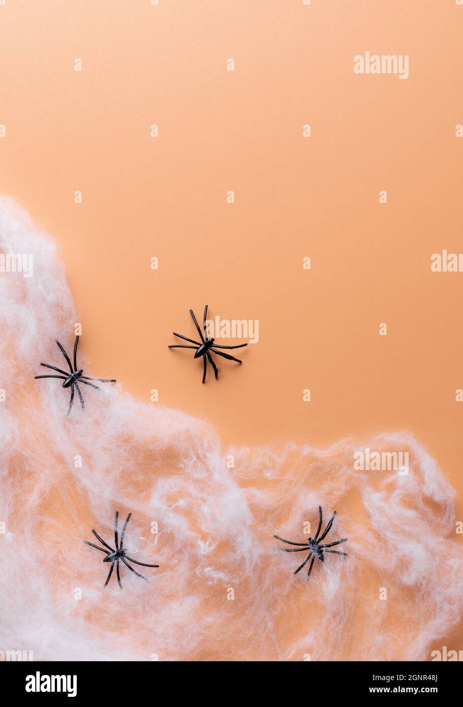 Halloween sfondo spaventoso con ragni e ragnatela Foto Stock