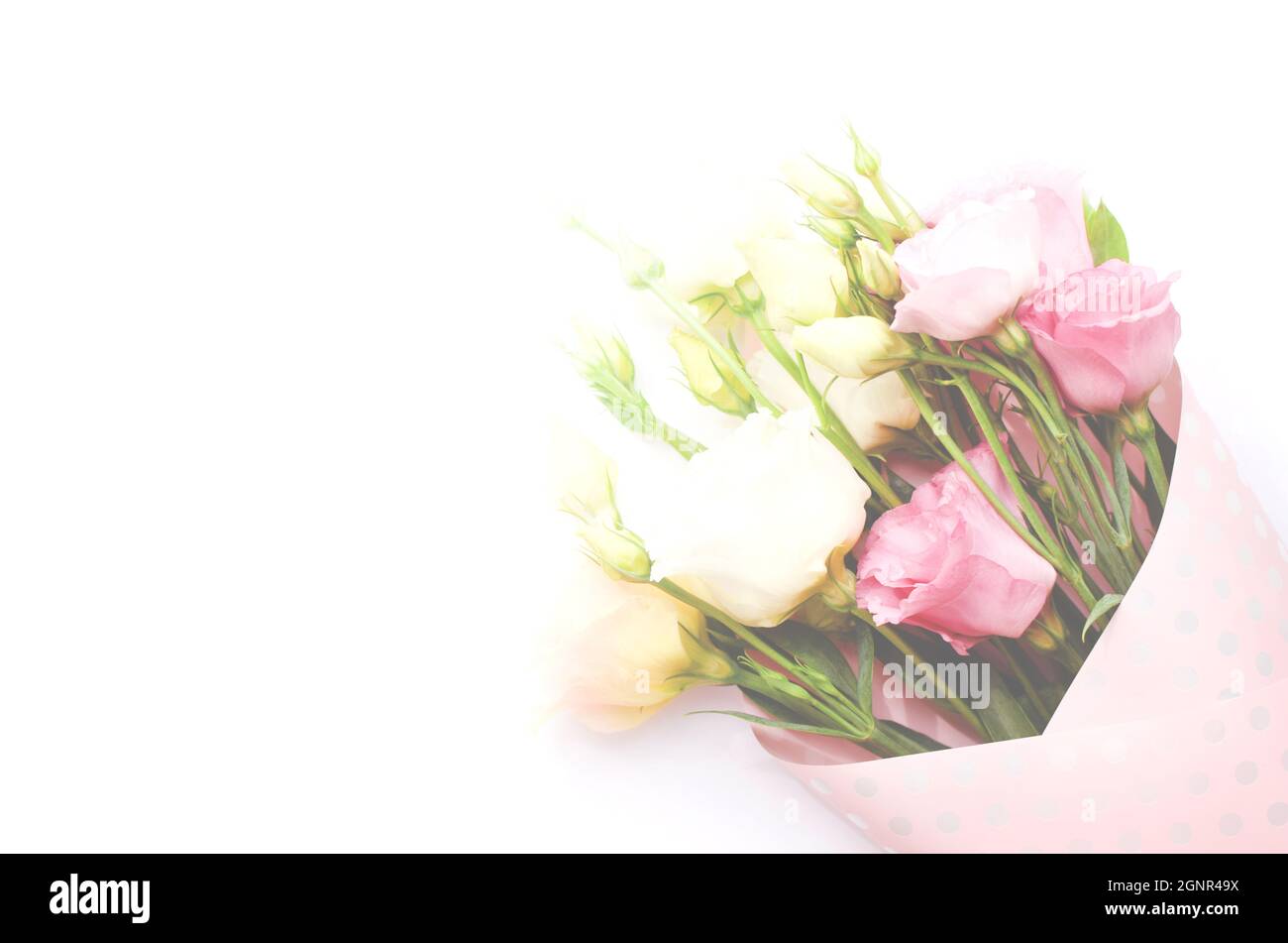 Bella rosa eustoma fiori (lisianthus) in piena fioritura con germogli foglie. Bouquet di fiori su sfondo bianco. Spazio di copia Foto Stock