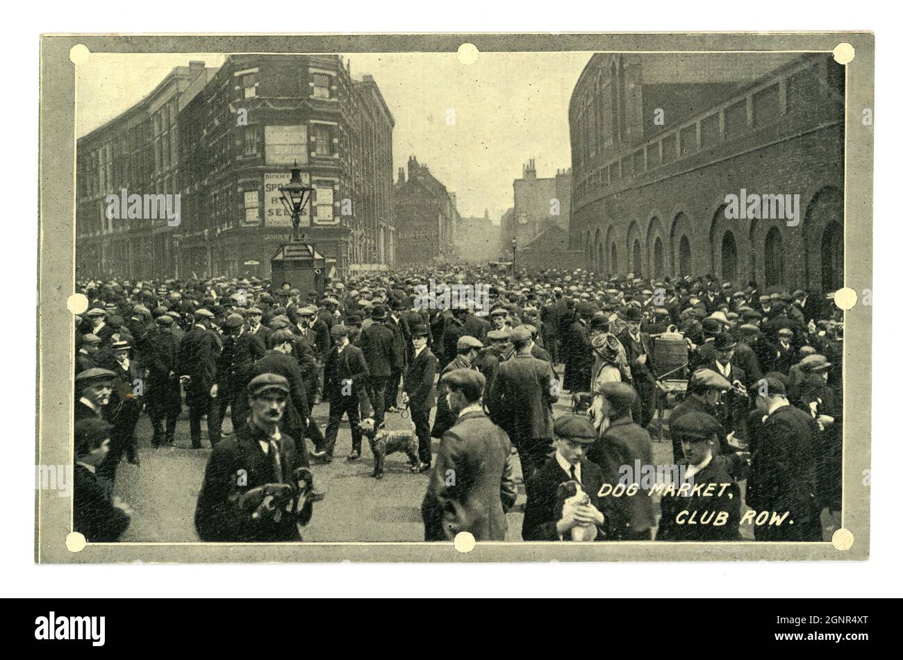 Originale cartolina dei primi del 1900 del mercato dei cani di fila del randello, a fila del randello nella Londra orientale, Spitalfields - mercato del randello era l'unico e unico mercato vivo degli animali di Londra. Era pieno di allevatori e commercianti senza scrupoli ed è stato infine chiuso a causa di problemi di benessere degli animali - circa 1910 Foto Stock