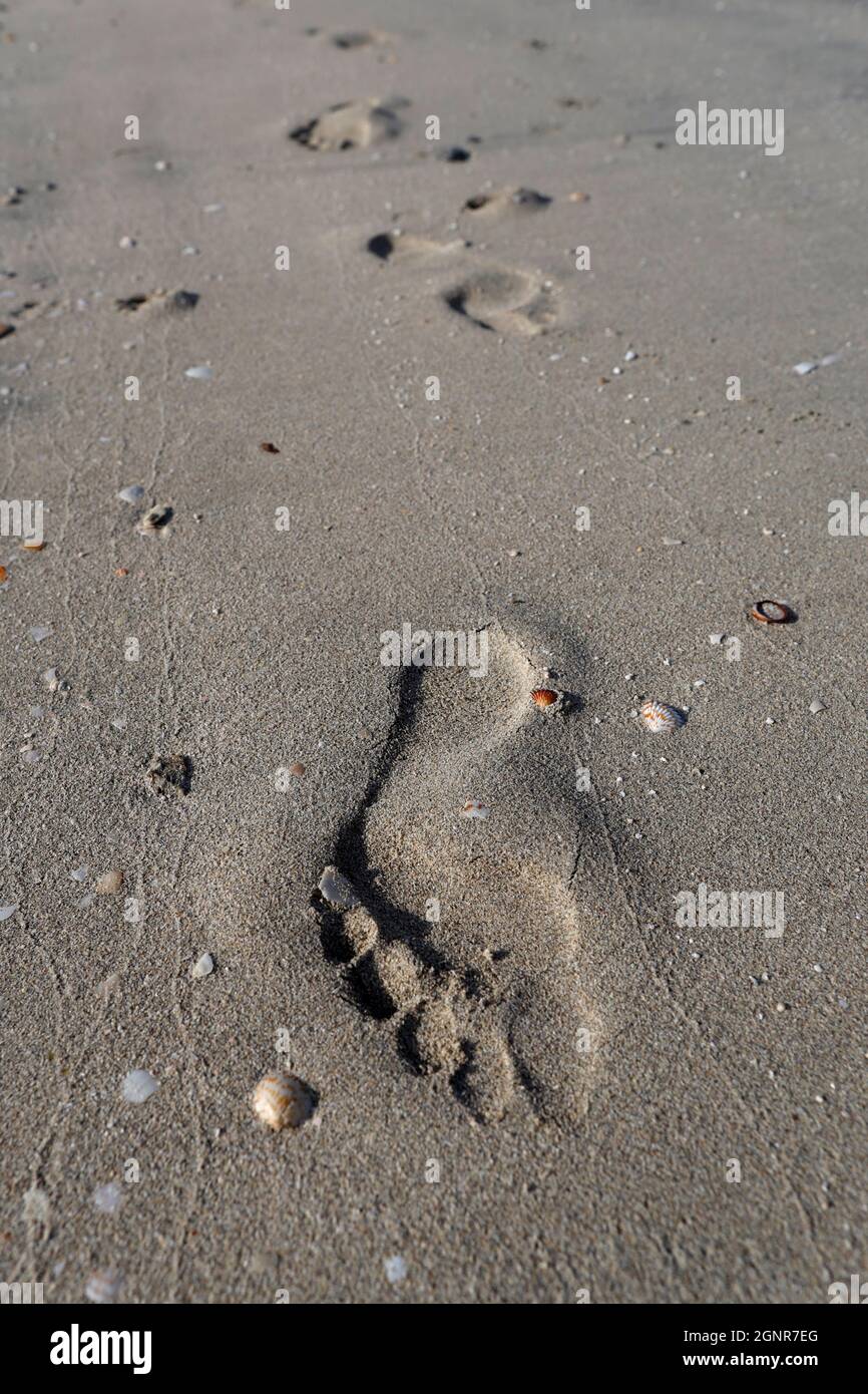 Impronte di piedi nella sabbia lungo la spiaggia. Emirati Arabi Uniti. Foto Stock