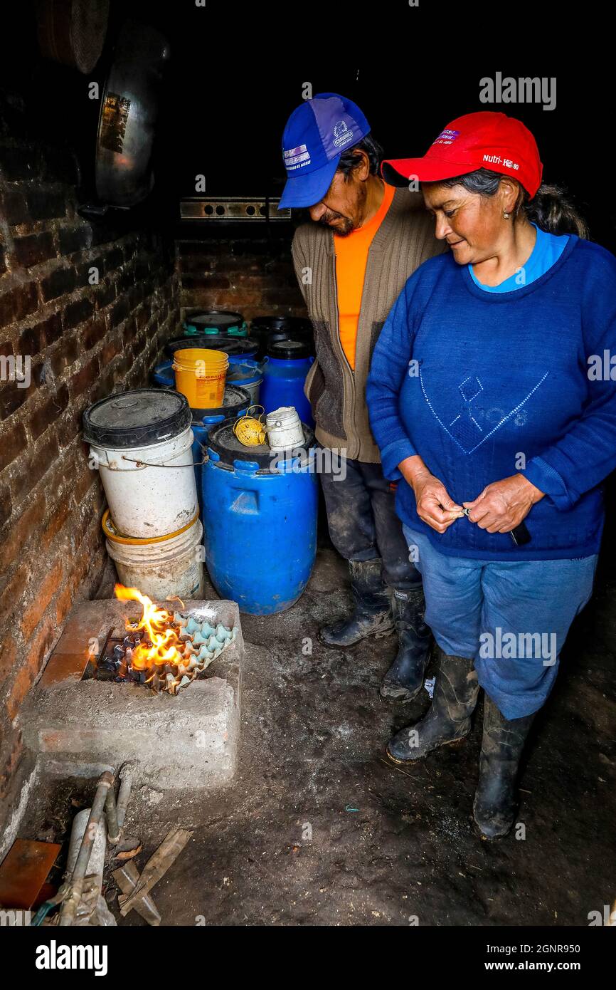 Agricoltori biologici che utilizzano biogaz nella provincia di Carchi, Ecuador Foto Stock