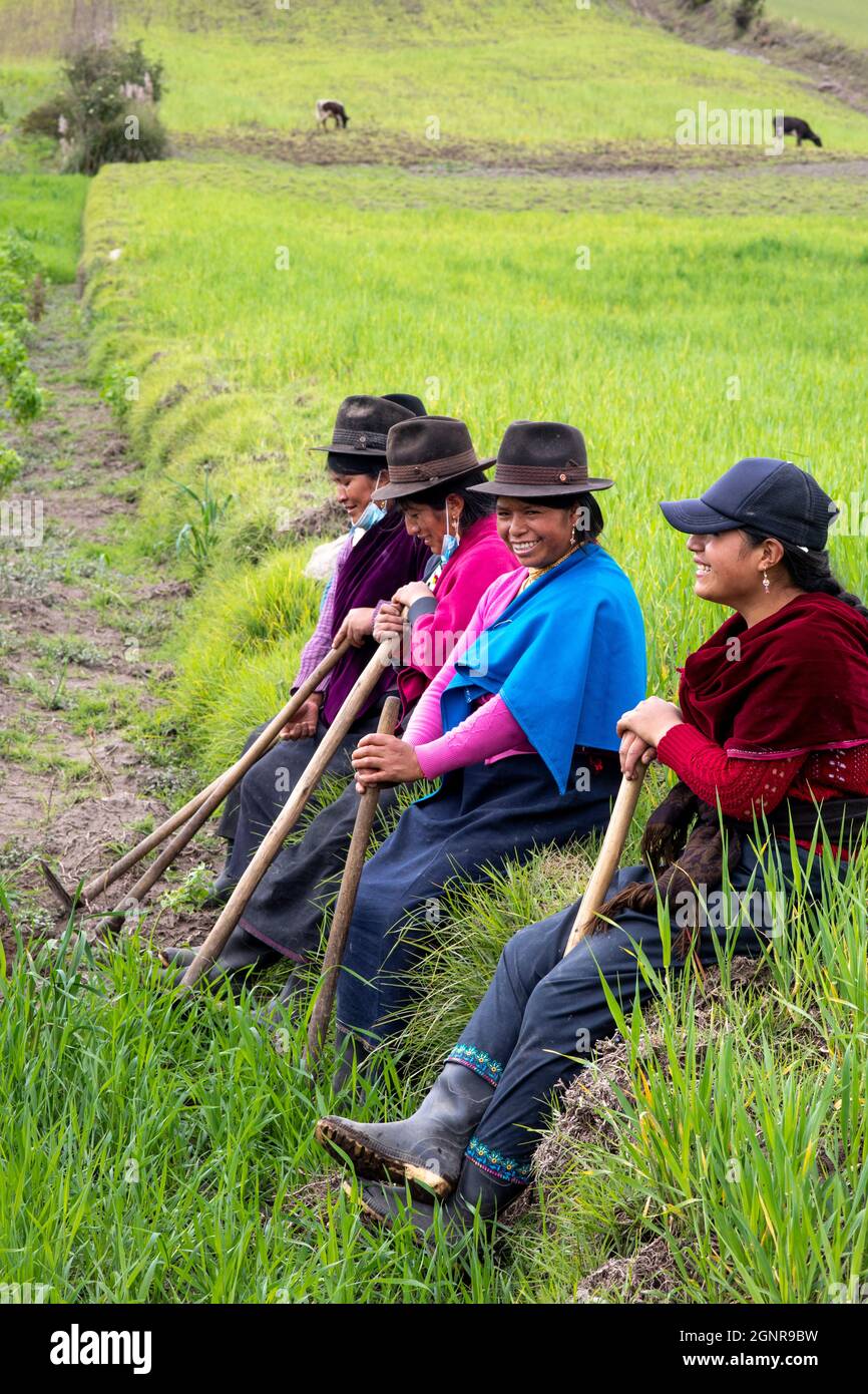 Donne indigene che riposano in un campo di quinoa a San Jose de Tanquis, Ecuador Foto Stock