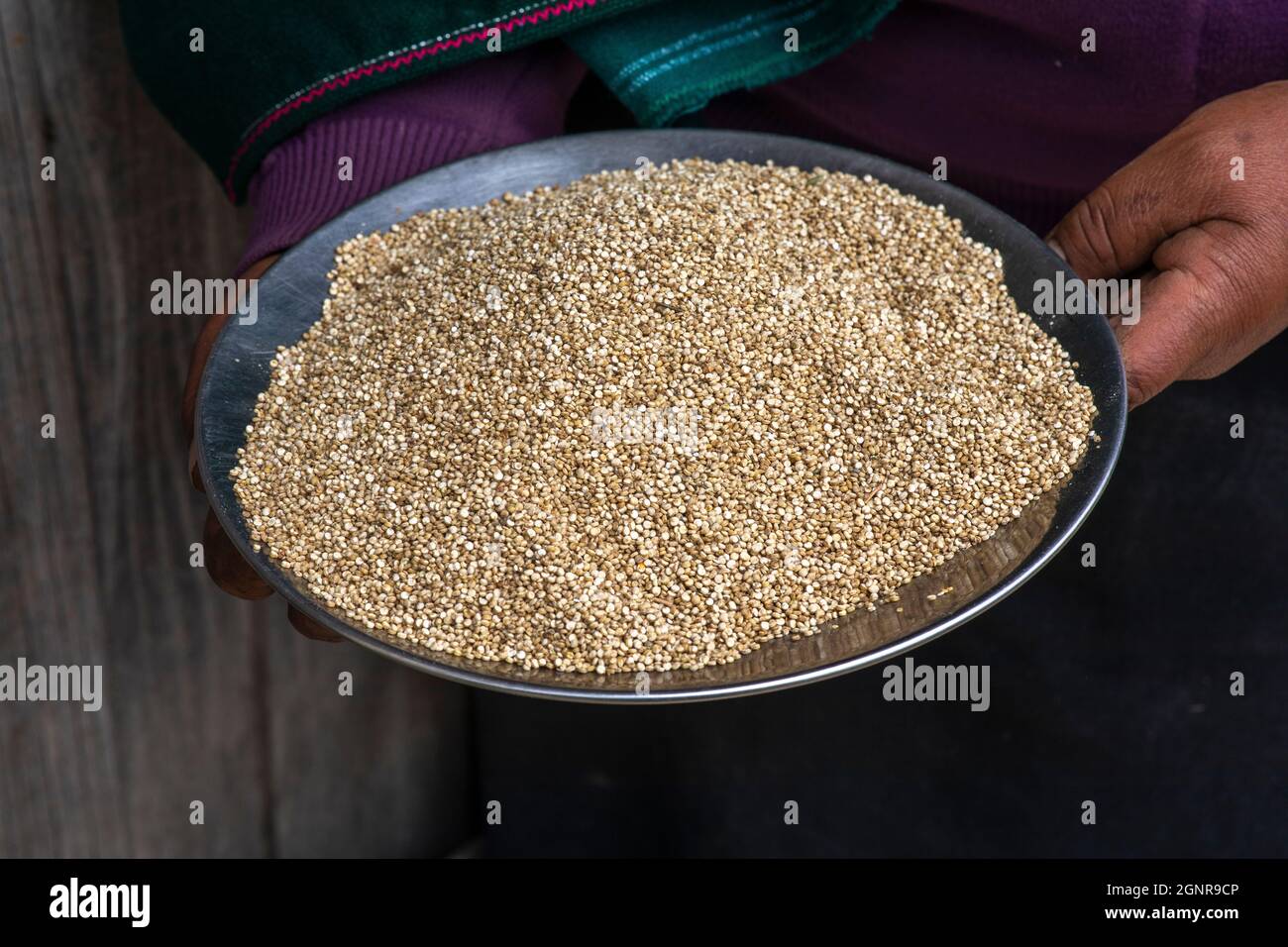 Quinoa cruda a San Martin Bajo, Ecuador Foto Stock