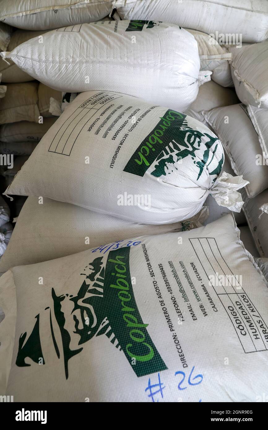 Cooperativa di agricoltori quinoa. Sacchi di quinoa cruda presso la fabbrica di trasformazione. Chimborazo, Ecuador Foto Stock