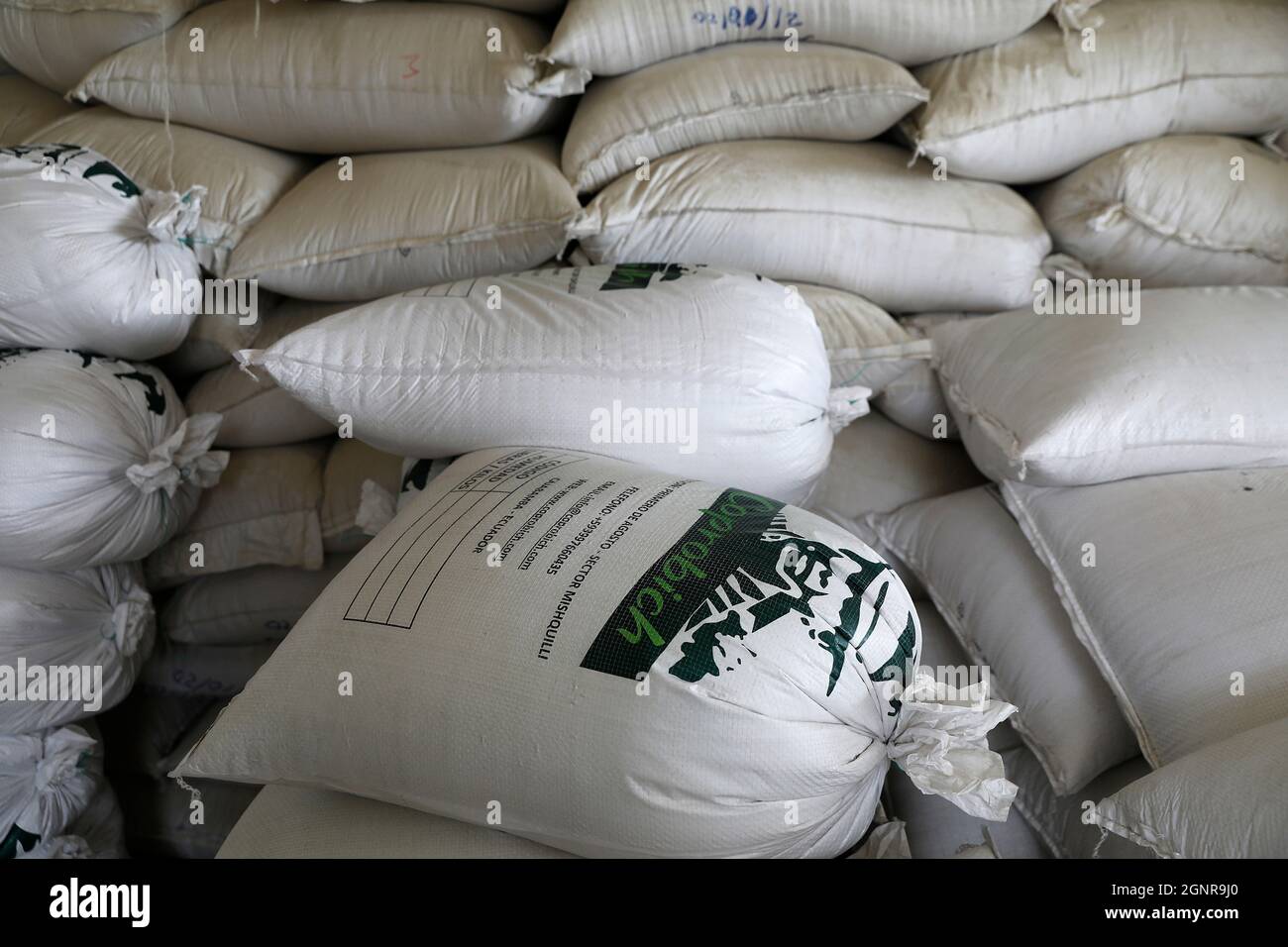 Cooperativa di agricoltori quinoa. Sacchi di quinoa cruda presso la fabbrica di trasformazione. Chimborazo, Ecuador Foto Stock