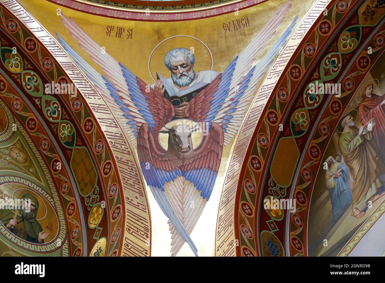 Affresco sul soffitto della chiesa, monastero di Curchi, Moldavia. Evangelista San Luca Foto Stock