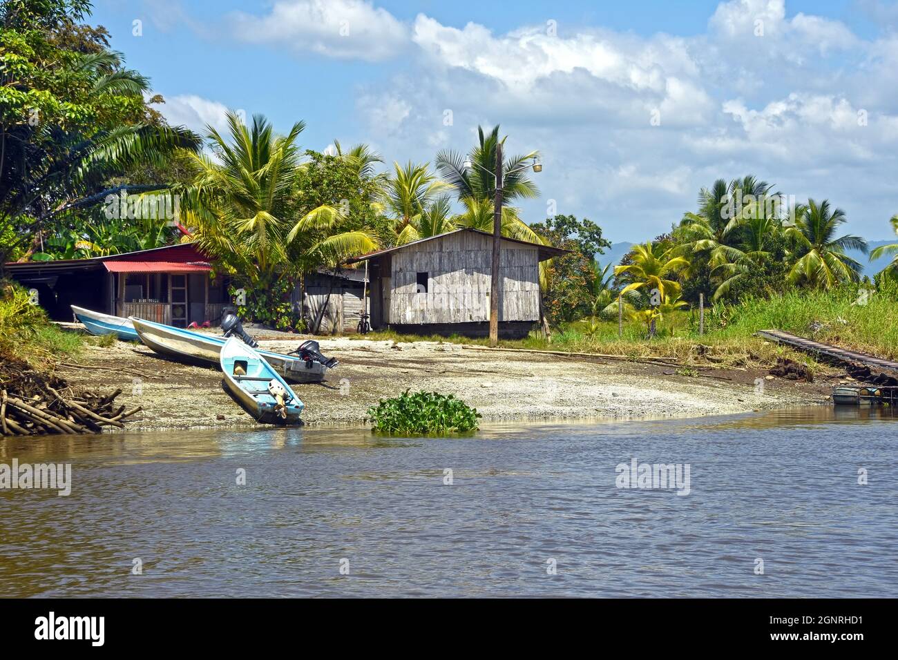 Vita sulla riva del fiume Costa Rica Foto Stock