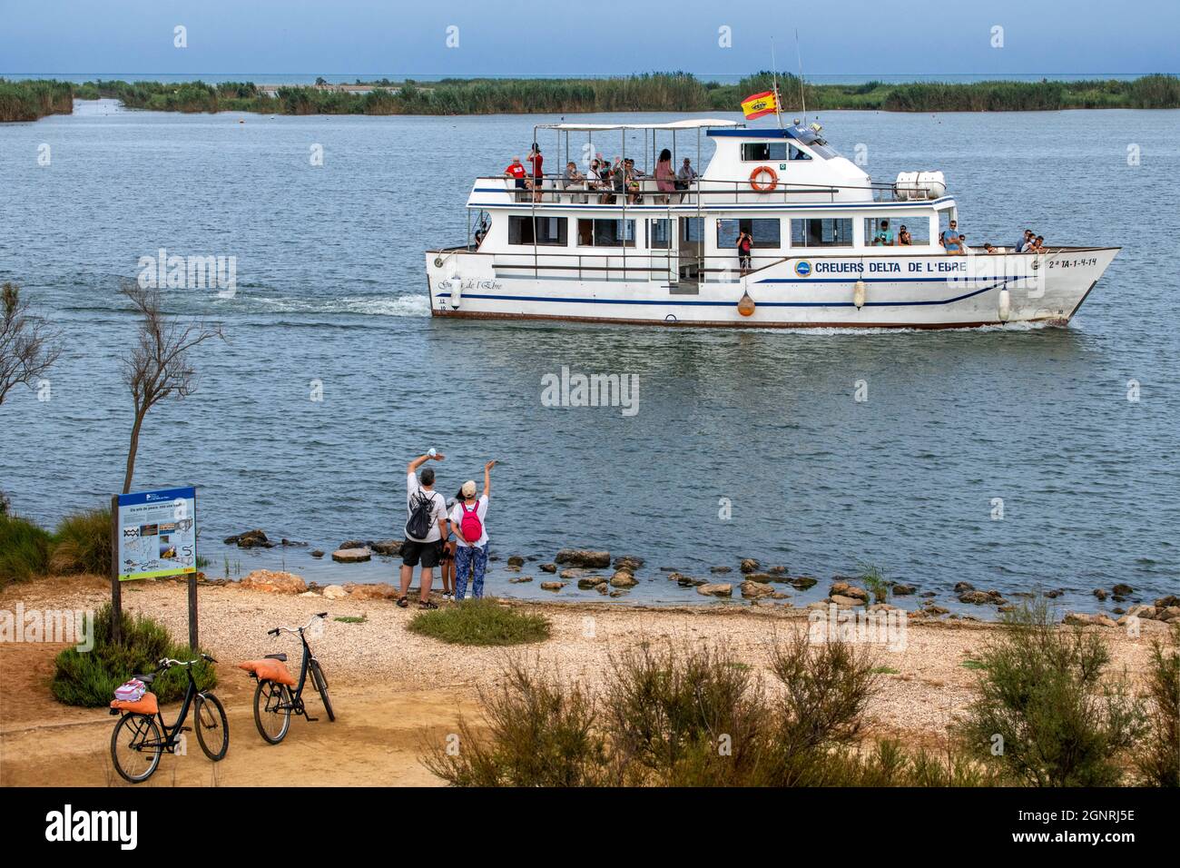 Gita in bicicletta e barca sul fiume Ebro, Deltebre, Riumar, Isla de buda, Baix Ebre, Tarragona. Parco naturale del Delta del Ebre nel Delta dell'Ebro all'alba Foto Stock