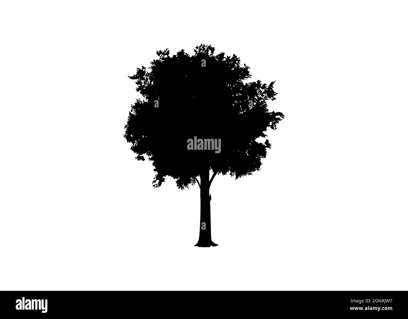 Bella immagine vettoriale di silhouette vettoriale di albero per siti web e app natura, modello di logo isolato su sfondo bianco Illustrazione Vettoriale