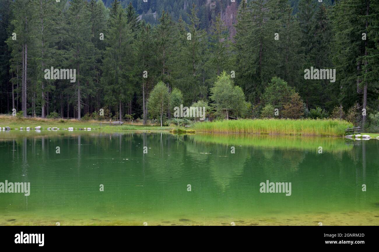 Piccolo lago attrezzato per la pesca sportiva nei boschi di Anterselva di sotto Foto Stock