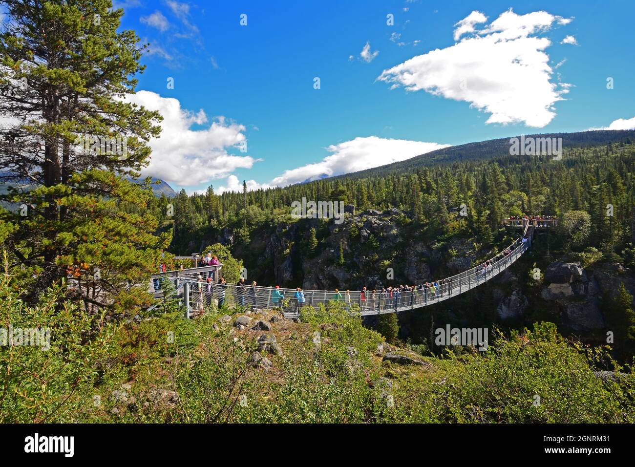 Il ponte sospeso di Yukon, Klondike Highway Foto Stock