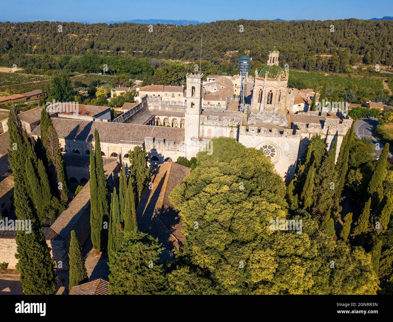 Veduta aerea del Chiostro di Monestir de Santa Maria de Santes Creus, abbazia cistercense, monastero, chiesa, Santes Creus, Aiguamurcia Tarragona, Cataloni Foto Stock