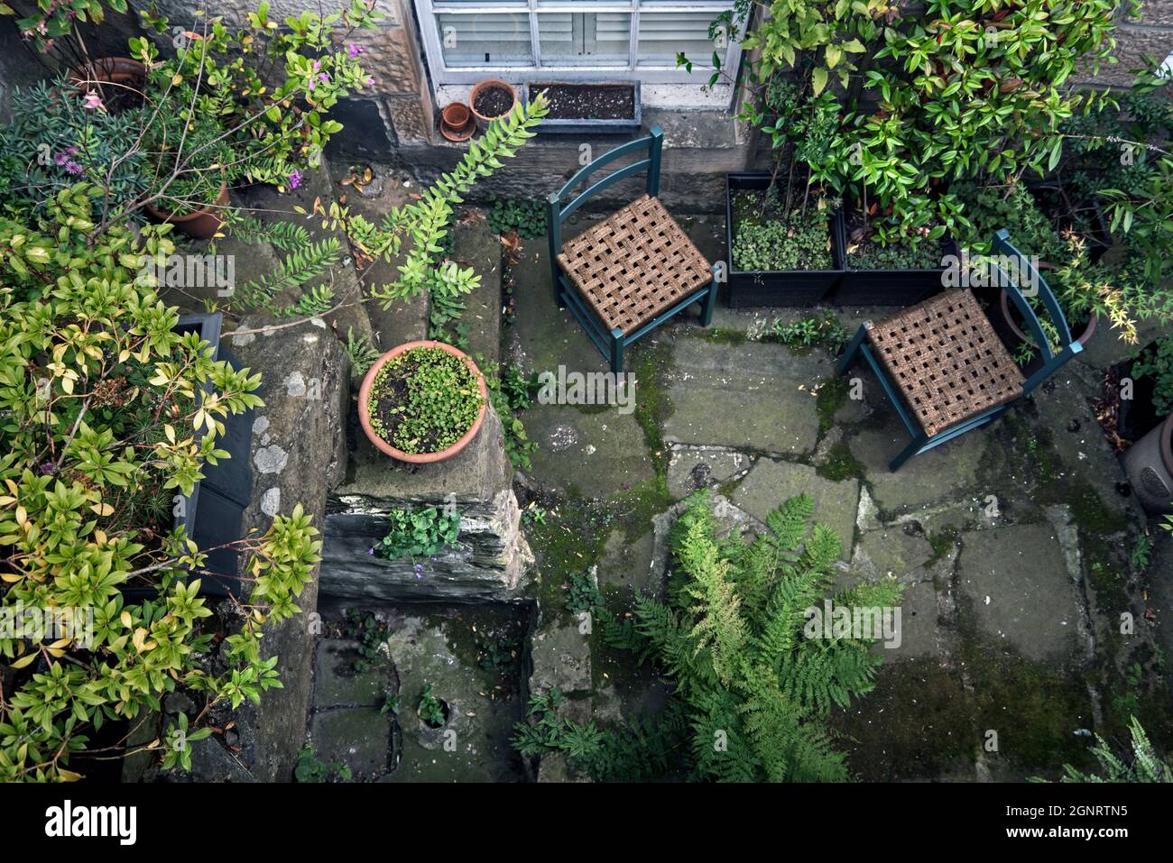 Giardino seminterrato in estate a New Town, Edimburgo, Scozia, Regno Unito. Foto Stock