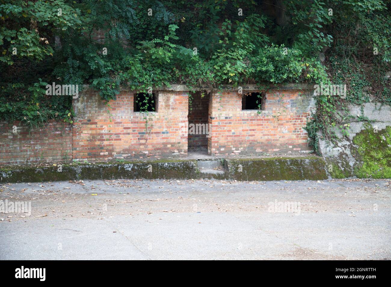 Air raid shelter costruito in Track Banking, resti di Brooklands Race Track, Weybridge, Surrey, Inghilterra Foto Stock