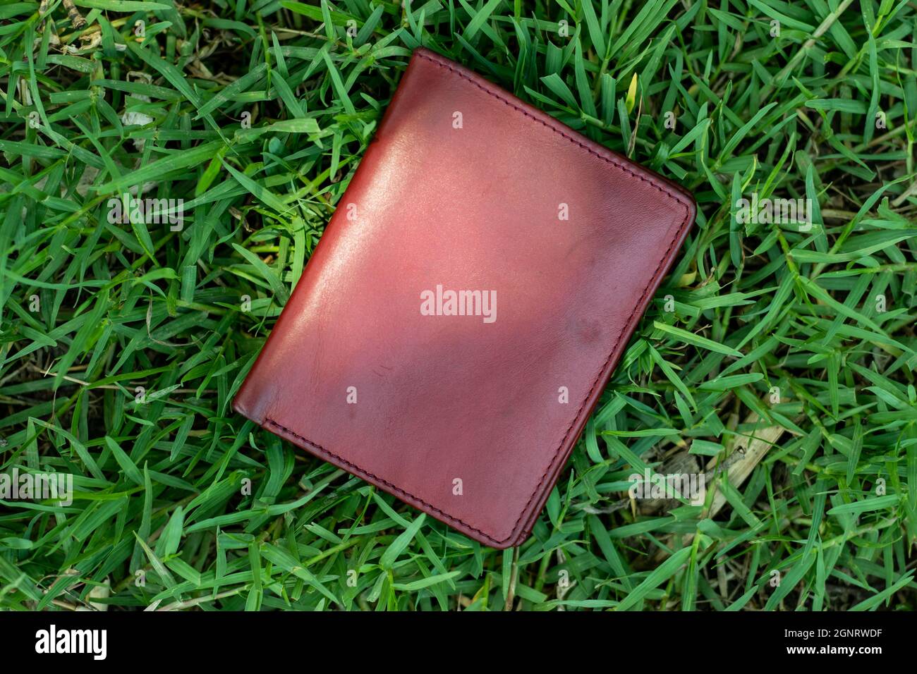 La natura sottile e minimalista di un portafoglio a clip sul verde erba Foto Stock