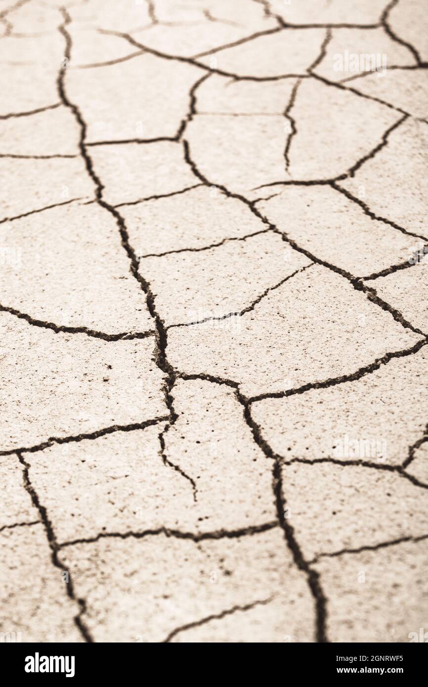 Terra secca spaccata a colpo chiuso. Per la crisi idrica, la siccità nel Regno Unito, la terra arata, la perdita di raccolti, l'ondata di caldo in Europa o negli Stati Uniti, la calda stagione estiva, l'aridisificazione. Foto Stock