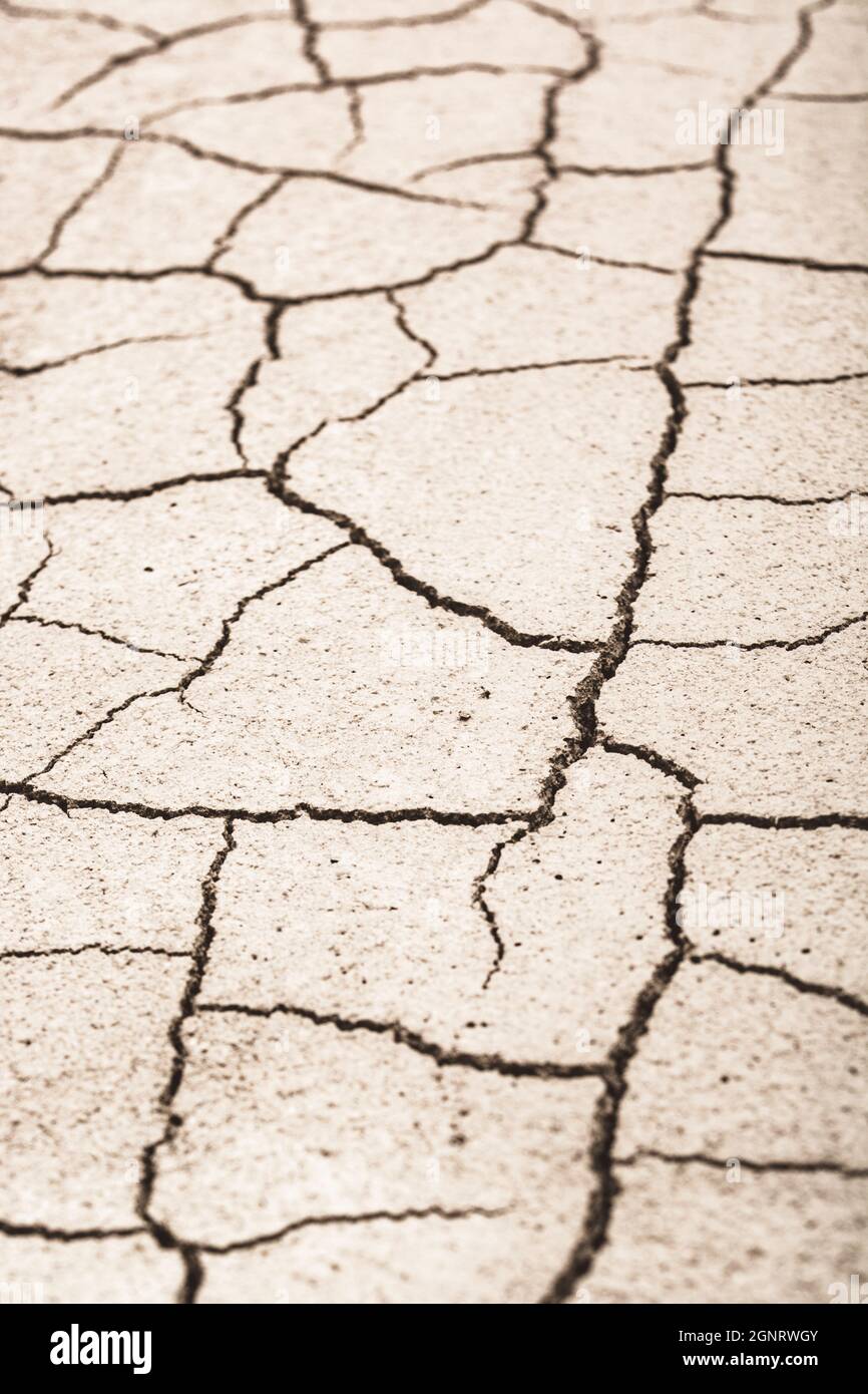 Terra secca spaccata a colpo chiuso. Per la crisi idrica, la siccità nel Regno Unito, la terra arroccata, la perdita di raccolto, l'onda di calore europea / Stati Uniti, estate calda, aridisificazione, subsidenza. Foto Stock