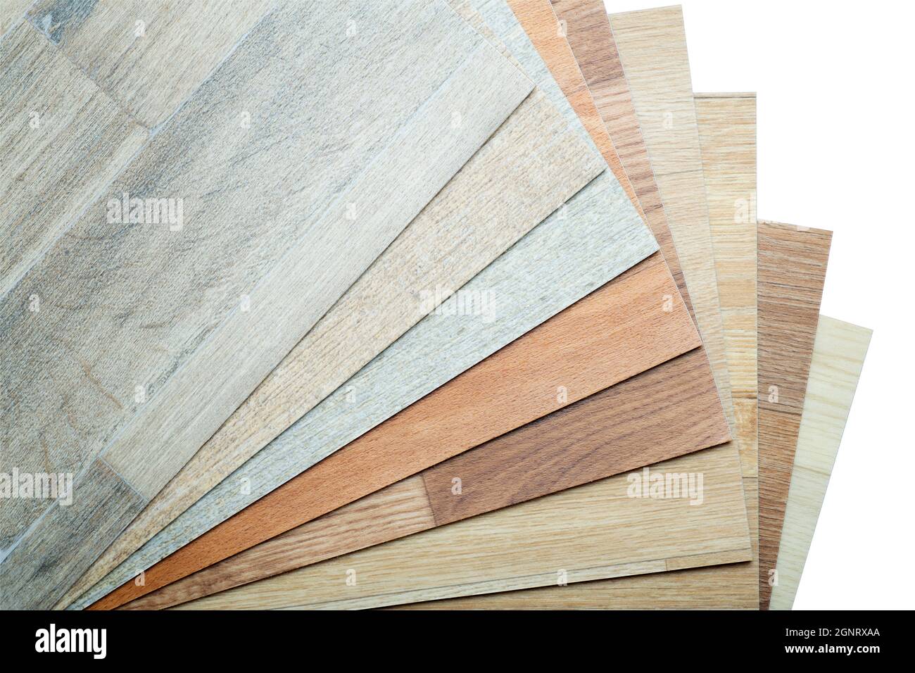 Campioni di vinile e linoleum su sfondo bianco isolato. Vinile per pavimenti con grana e motivo in legno. Foto di alta qualità Foto Stock