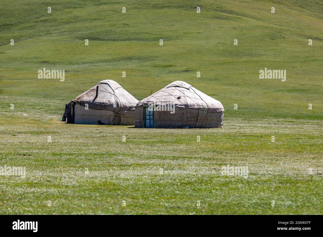 Aneliti nomadi tradizionali dell'Asia centrale Foto Stock