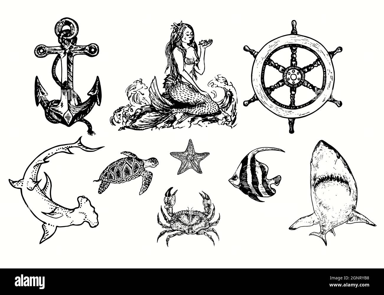 Collezione marina, ancora, sirena, ruota della nave , squalo Hummerhead, Tartaruga di mare Chelonioidea, stella di mare, granchio, pesce di scuola, squalo bianco Foto Stock