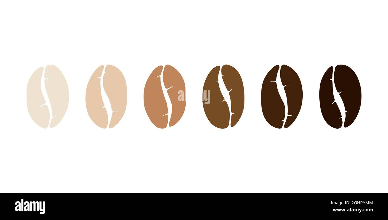 Tostatura del set di chicchi di caffè a varie fasi. Tostatura leggera, media, a grana scura. Illustrazione eps vettoriale piatta isolata su sfondo bianco Illustrazione Vettoriale