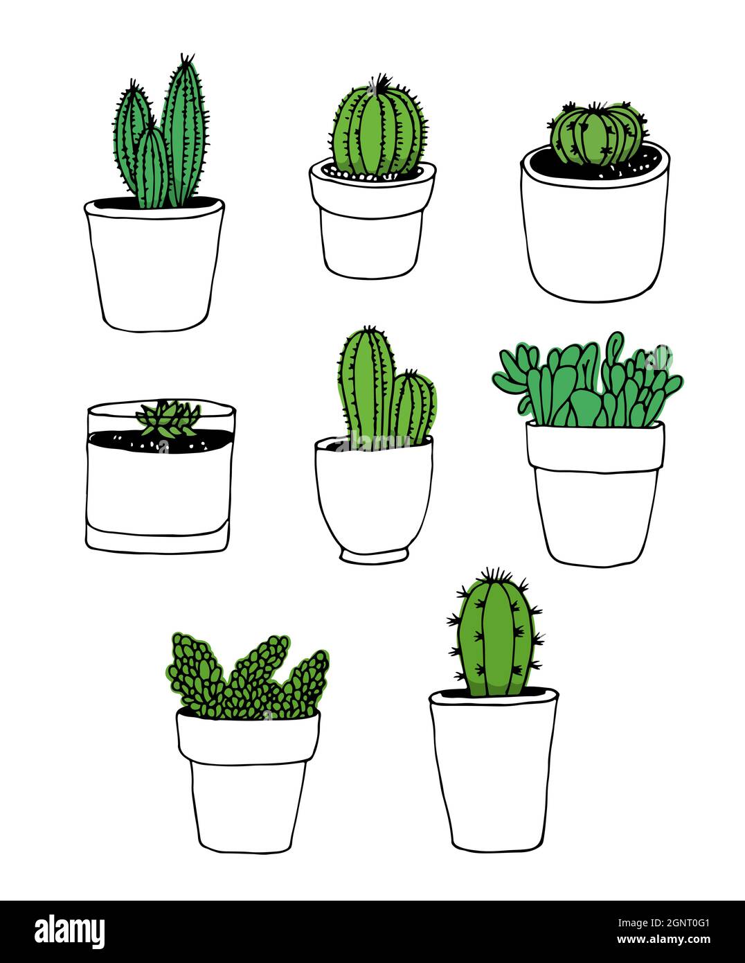 Set vettoriale disegnato a mano Cactus, raccolta di piante isolata su sfondo bianco Illustrazione Vettoriale
