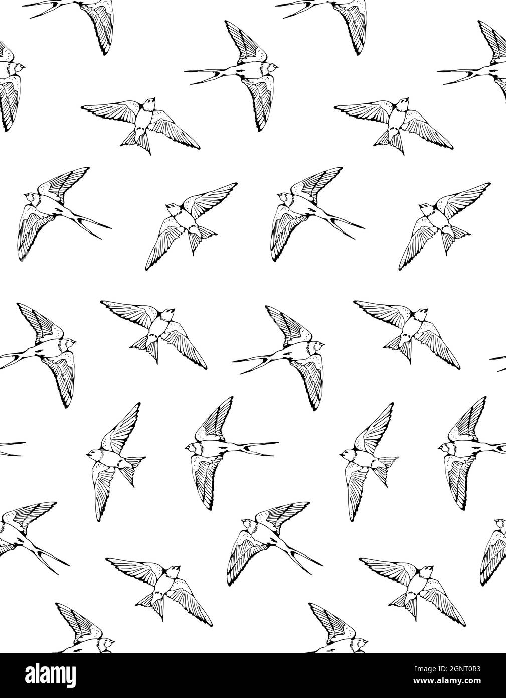 Swallow e House Martin uccelli vettore modello, a mano disegnato sfondo senza cuciture Illustrazione Vettoriale