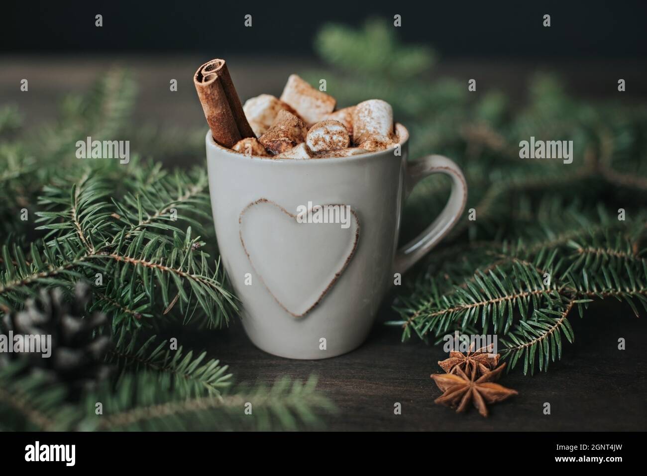 Bevanda invernale di Natale sullo sfondo di rami di abete e luci di ghirlanda su un tavolo di legno. Carino scheda di nuovo anno. Foto Stock