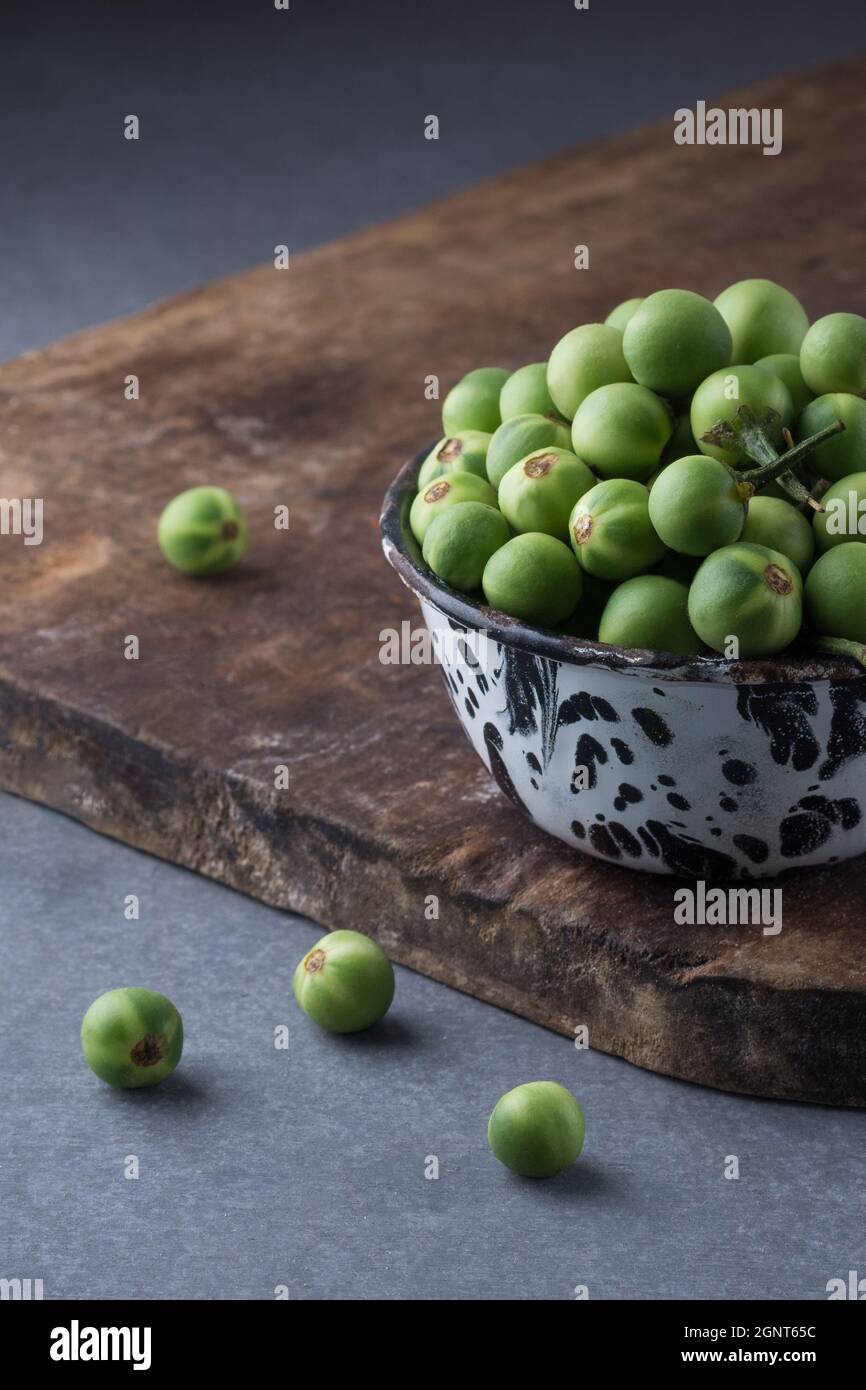 bacca di tacchino, detta anche melanzana selvatica o melanzana di piselli,  tazza piena di verdure rotonde Foto stock - Alamy