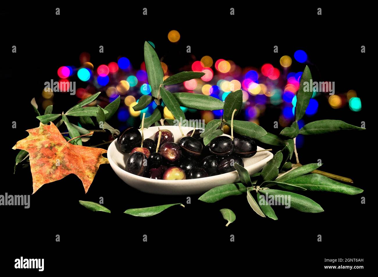 Olive nere raccolte da un olivo in autunno. Foto Stock