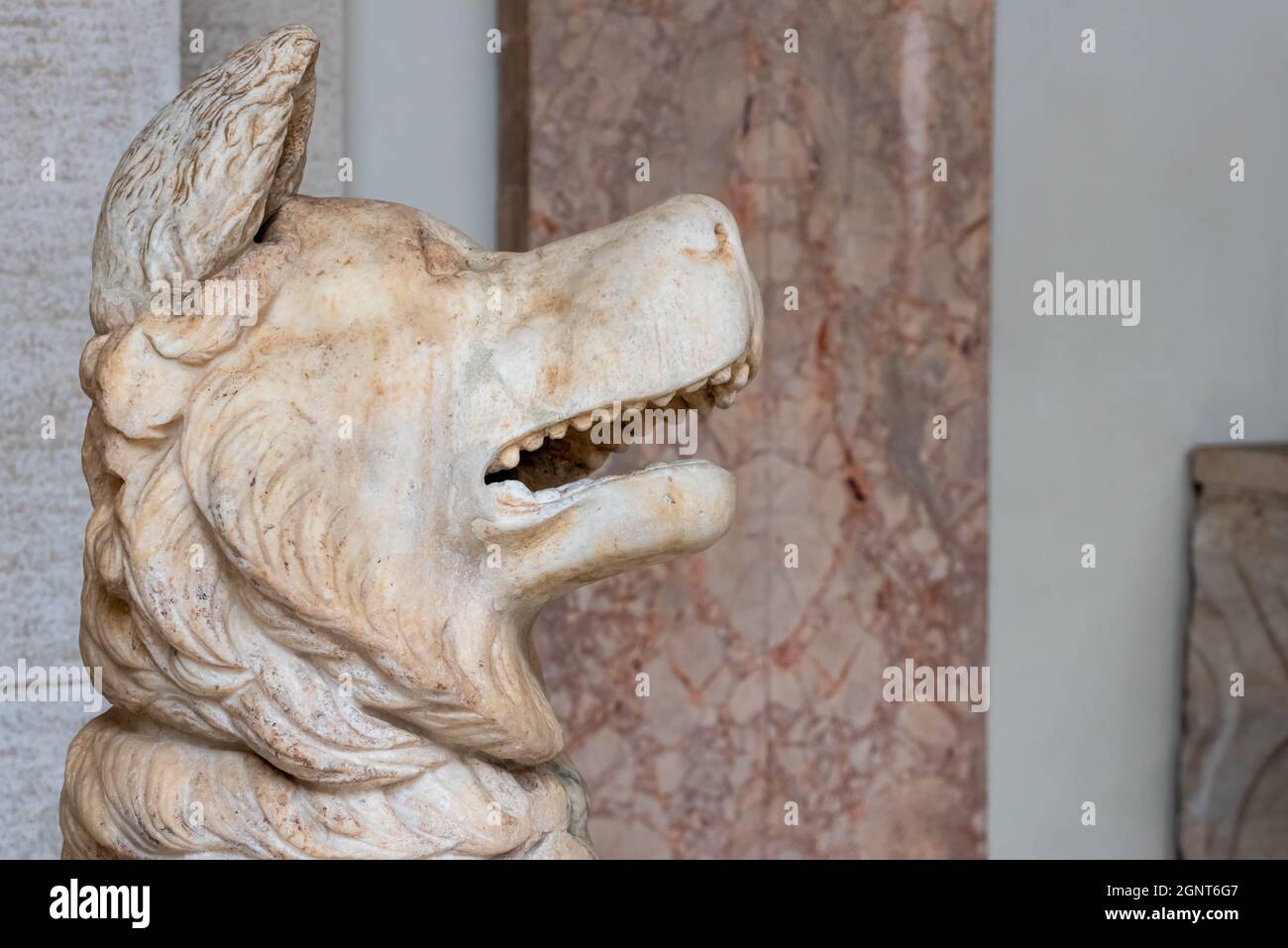 Primo piano sul profilo del cane scolpito in marmo Foto Stock