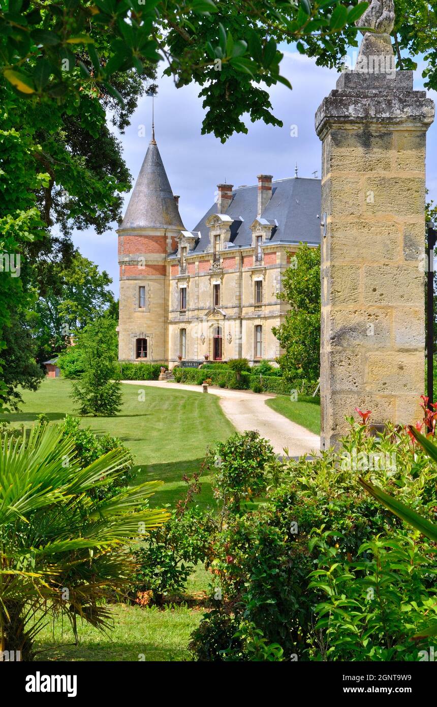 Francia, Gironde (33), Sauternais, Bommes, Château Rayne Vigneau // Francia, Gironde, Sauternais, Bommes, vigneto di Chateau Rayne Vigneau Foto Stock