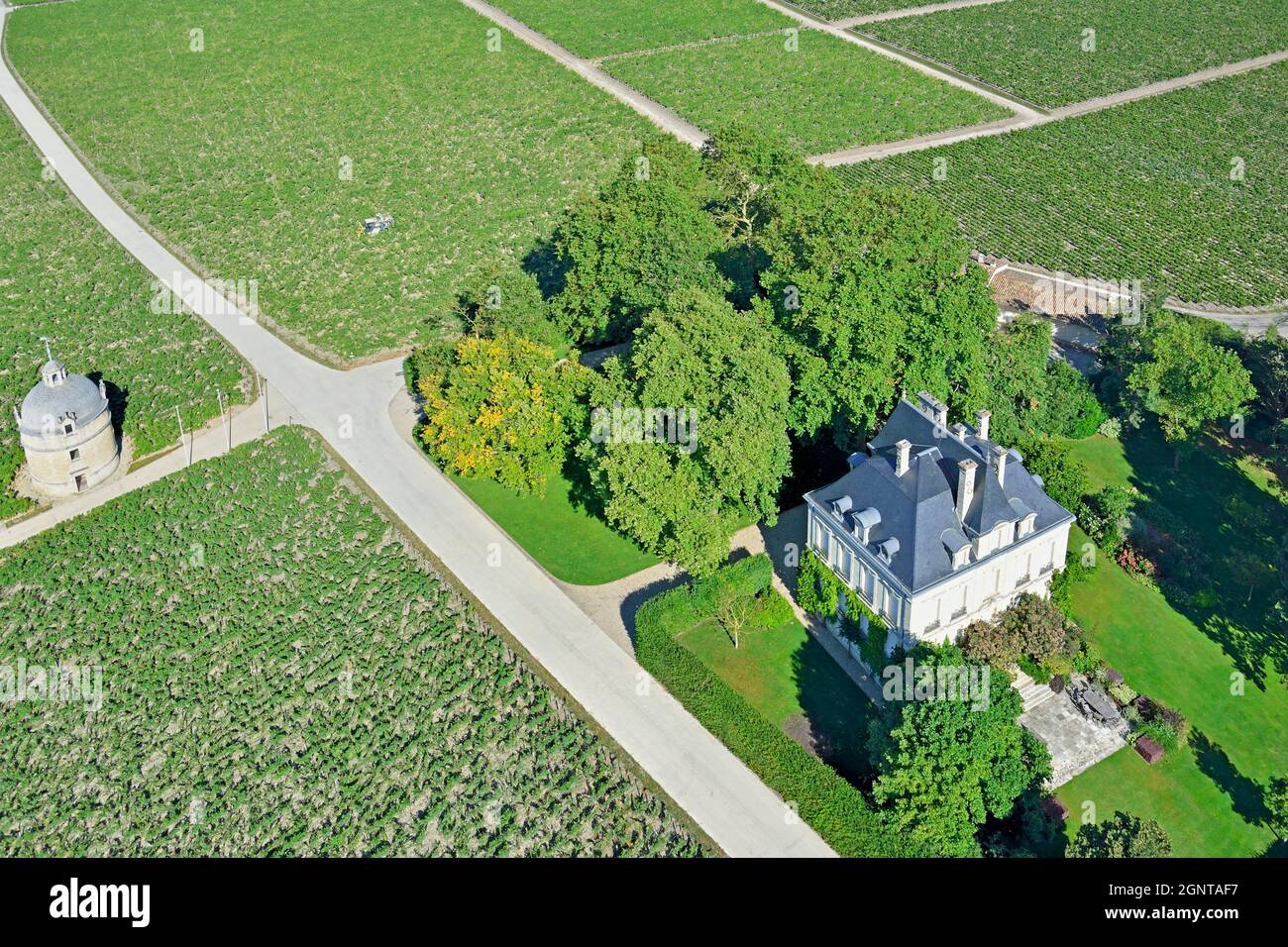 Francia, Gironde (33), Pauillac, domaine de Château Latour au milieu des vignes où est produit un vin Premier cru (vue aérienne) // Francia, Gironde, Pa Foto Stock