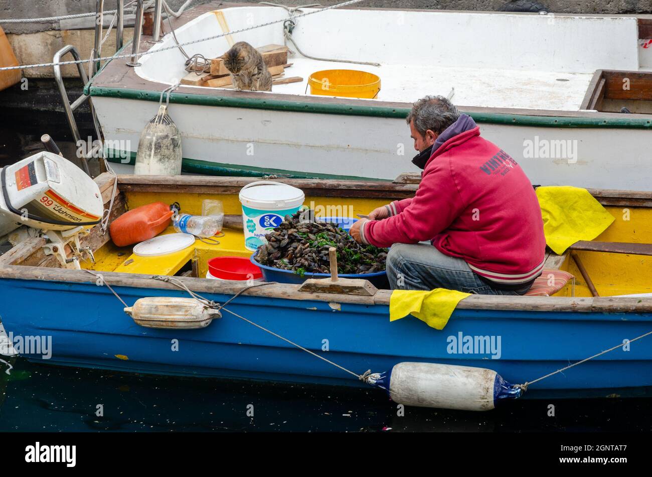 Il pescatore pulisce una cattura di cozze su una barca Foto Stock