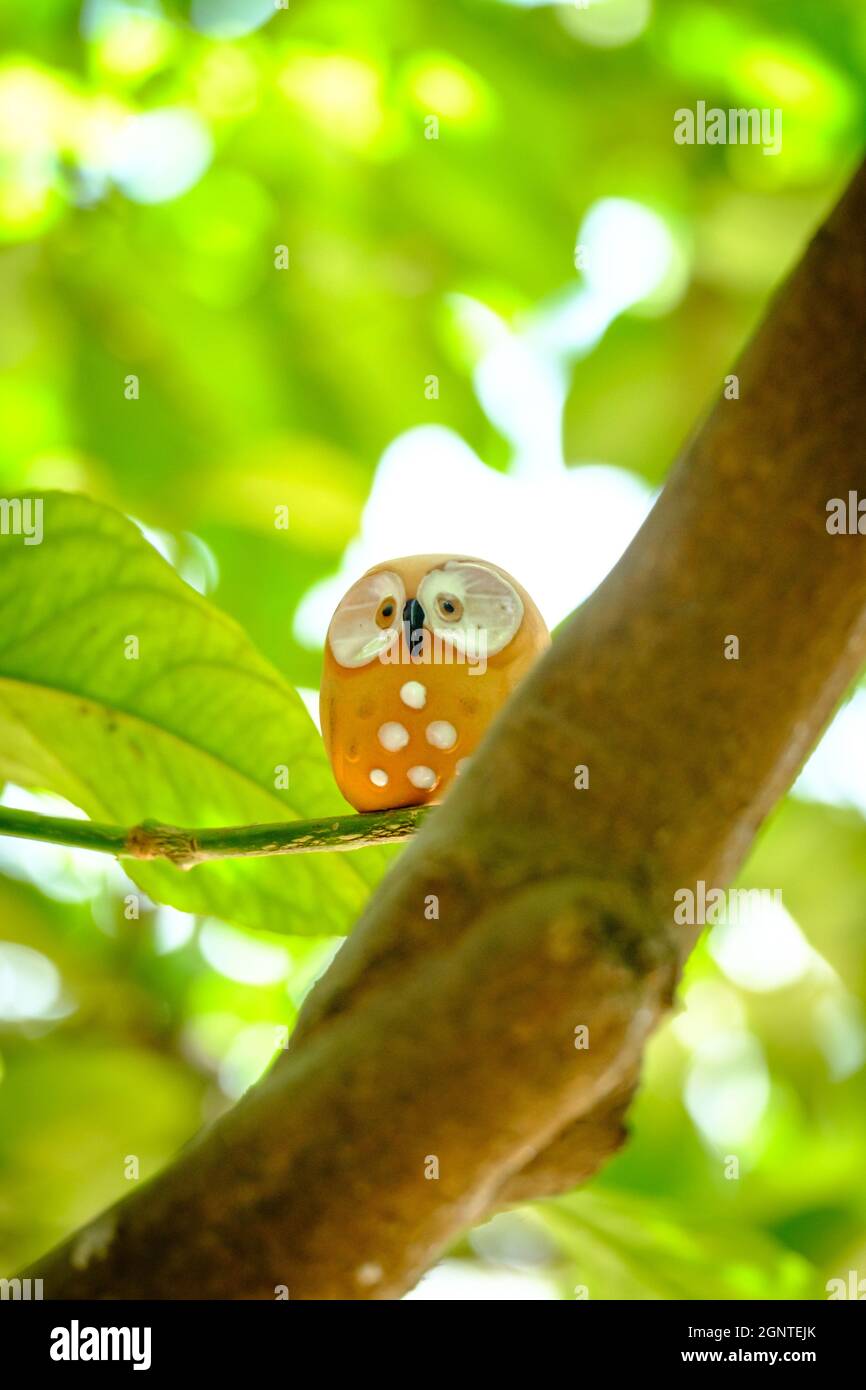 sparato di una figura di gufo arancione tra gli alberi Foto Stock