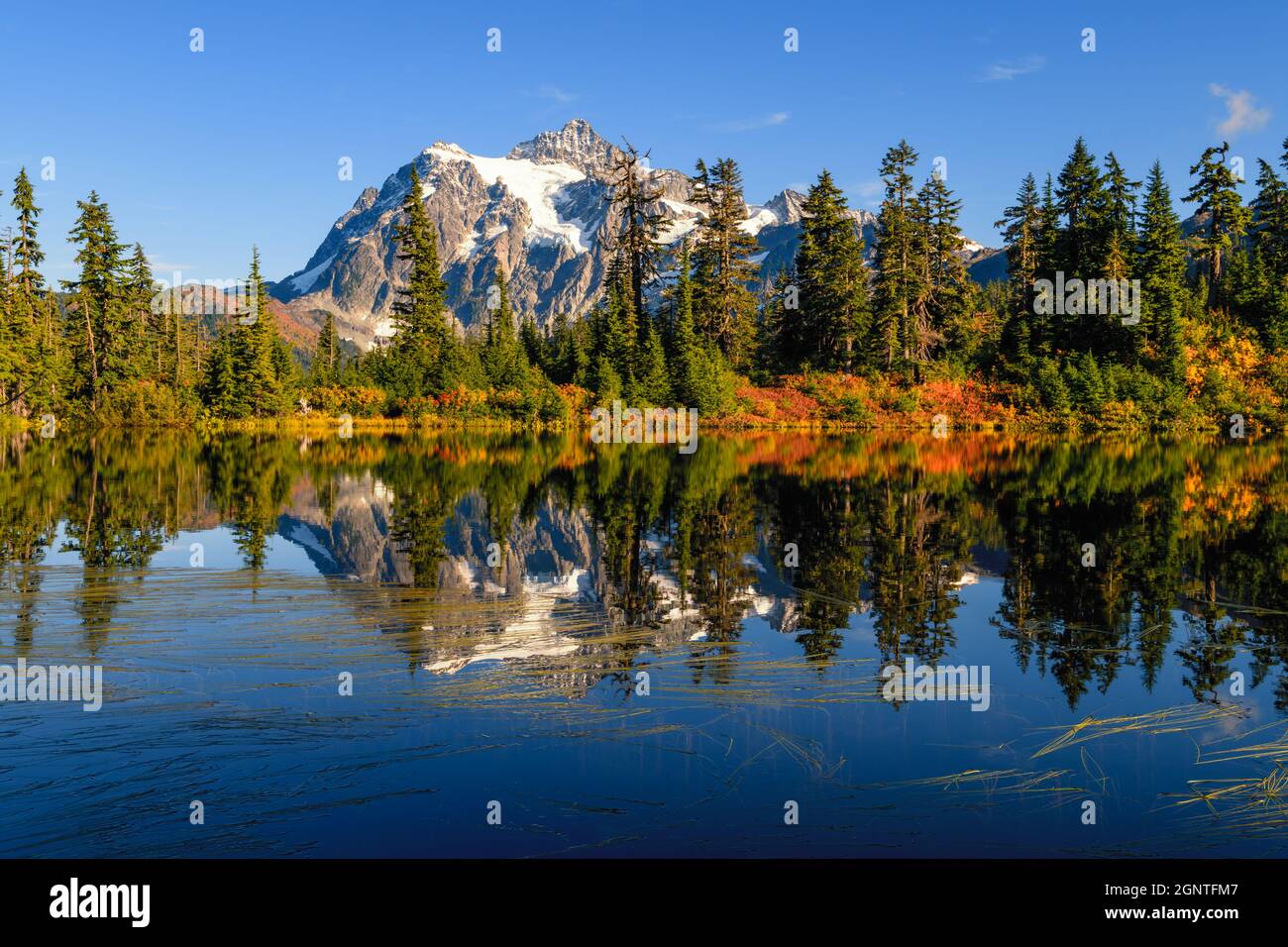 Il monte Shuksan nel North Cascades National Park si riflette in un lago dai colori brillanti dell'autunno creando una vista iconica nello stato di Washington, USA Foto Stock