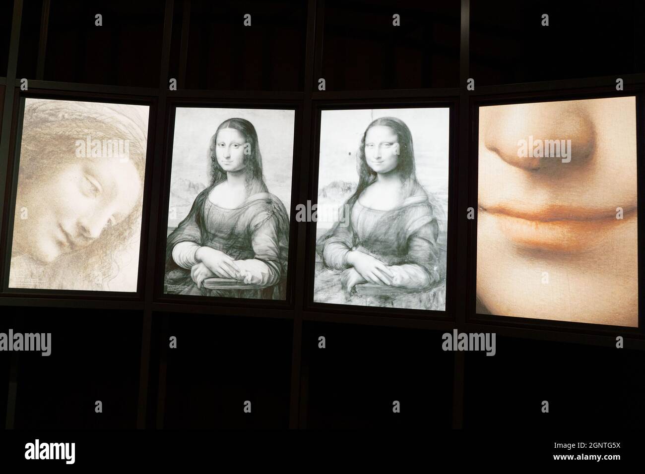 Dipinti di Mona Lisa visti durante la presentazione della Mostra di Leonardo da Vinci al Museo Nacional del Prado. Il Museo Nacional del Prado presenta le ultime ricerche sul cerchio più vicino di Leonardo, Leonardo e la copia della Mona Lisa. Nuovi approcci alle pratiche di studio dell'artista è la prima mostra monografica in Spagna a studiare le copie e le versioni realizzate nello studio di Leonardo durante la sua vita, opere che si basavano sui prototipi del maestro e da lui autorizzate. In mostra al Museo Nacional del Prado fino al 23 gennaio nella Sala D del Palazzo Jerónimos, il Foto Stock