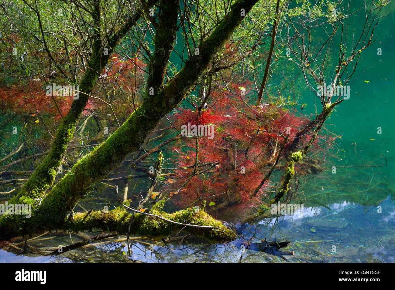 Bluntautal, Austria Foto Stock