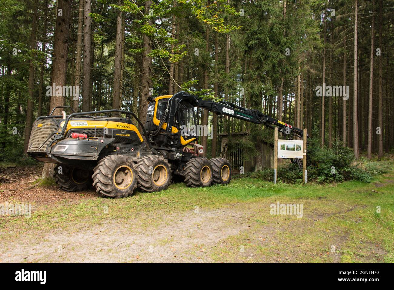 Un parcheggio per la mietiforaggi a quattro assali nei boschi dell'Alto Palatinato, in Baviera Foto Stock