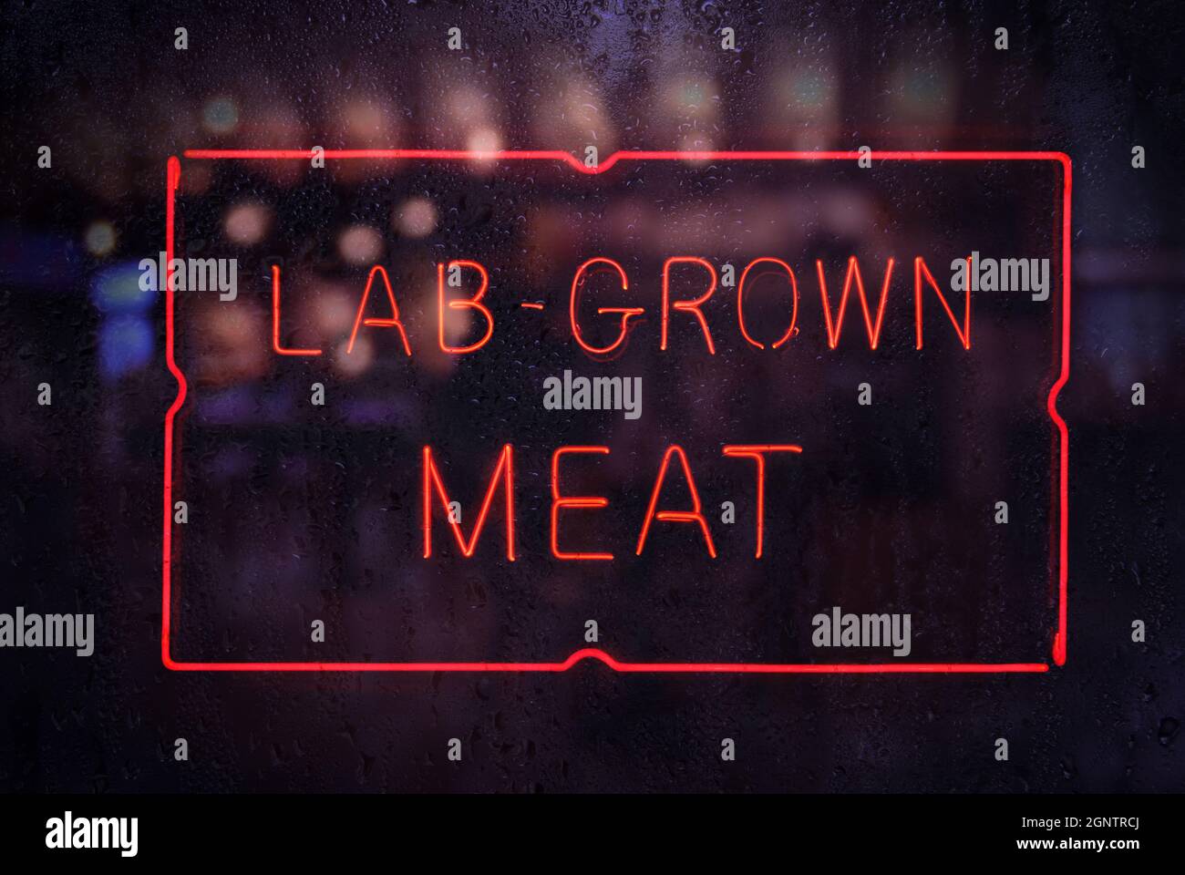 Carne di laboratorio Sign in Rainy Shop Window Foto Stock