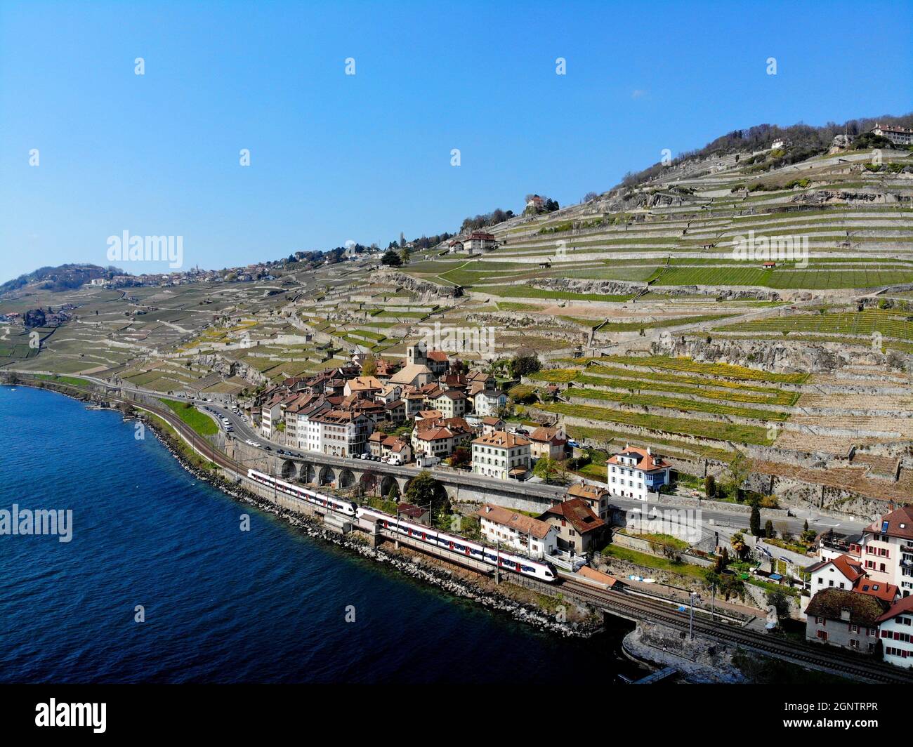 Saint-Saphorin, Lavaux, Lac Léman Foto Stock