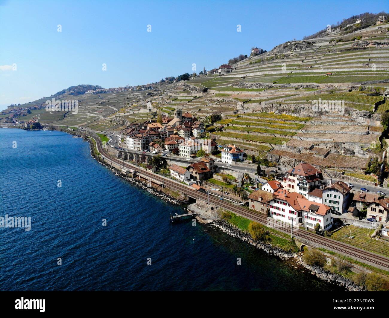 Saint-Saphorin, Lavaux, Lac Léman Foto Stock
