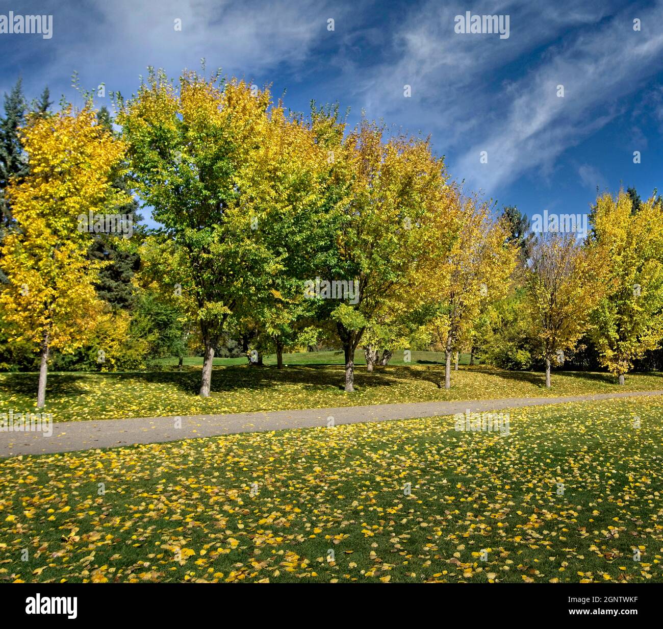 Baker Park Calgary, Alberta Foto Stock