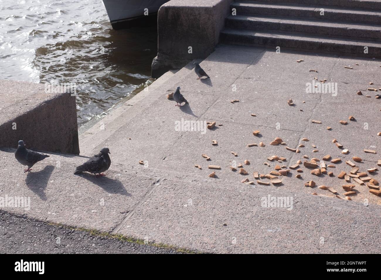 Pane gettato a terra. Il modo sbagliato di smaltire il cibo. Foto Stock