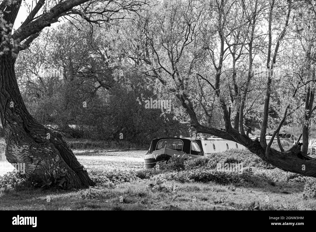 Chiatta sul fiume Great Ouse vicino a St Ives a Cambridgehsire Foto Stock