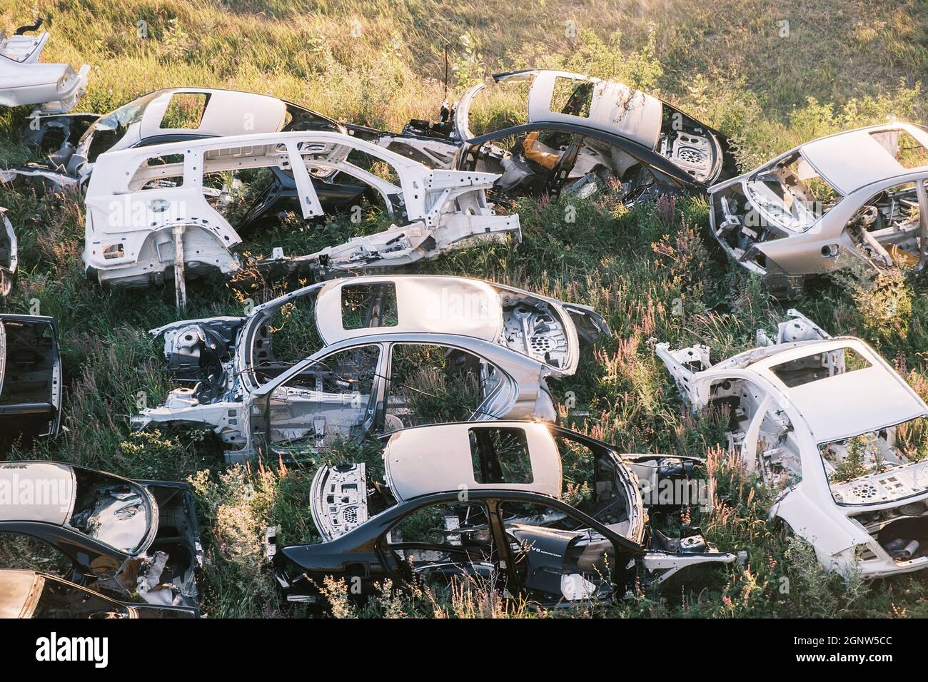 Scarico auto. Molti telai di automobili in cui l'erba è germogliata giacciono sul terreno Foto Stock