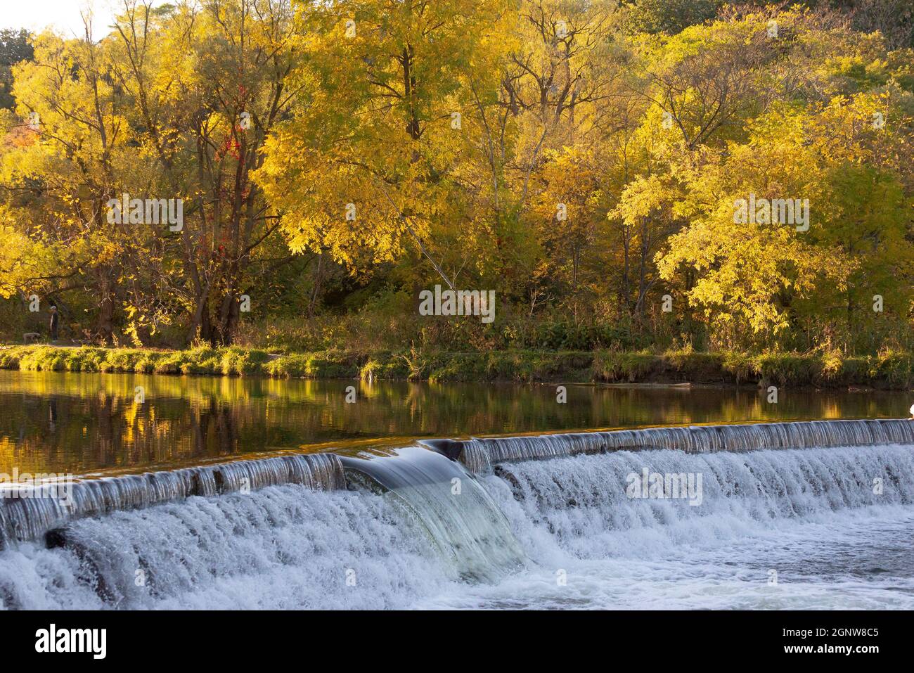 Vista panoramica sul fiume Humber nella stagione autunnale, Toronto, Ontario, Canada Foto Stock