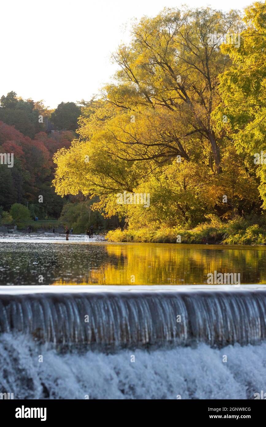 Vista panoramica sul fiume Humber nella stagione autunnale, Toronto, Ontario, Canada Foto Stock