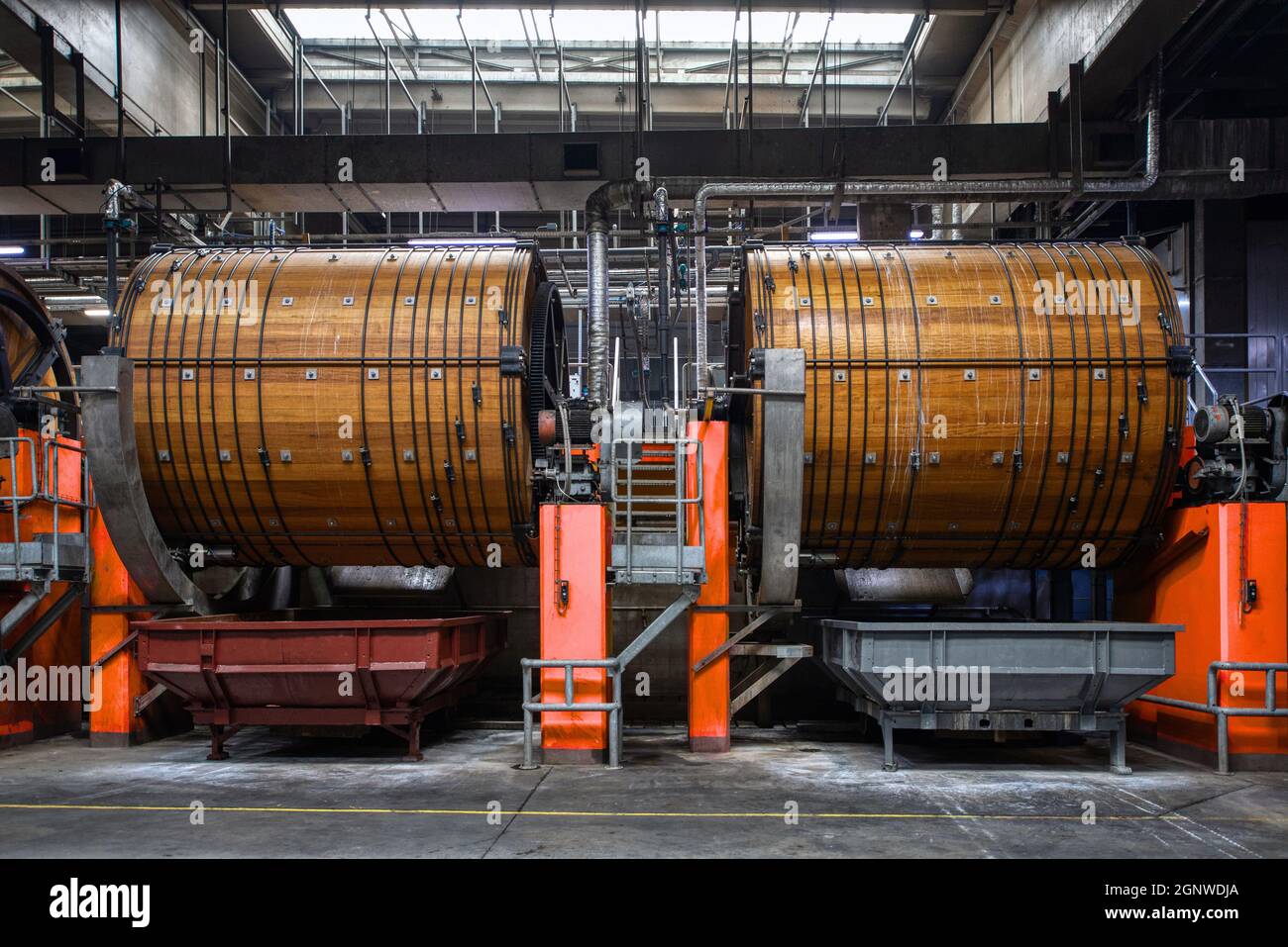 Officina di cuoio. Grandi barili in legno per la concia di cuoio bovino Foto Stock